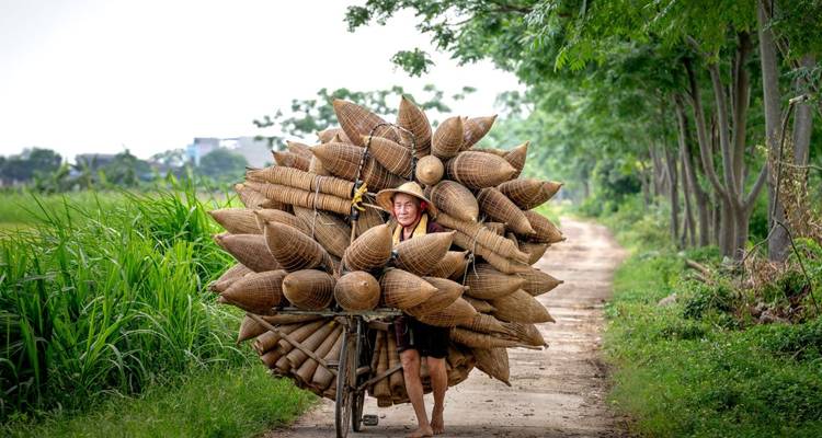 Lo mejor de Vietnam - DIAMIR Erlebnisreisen 3