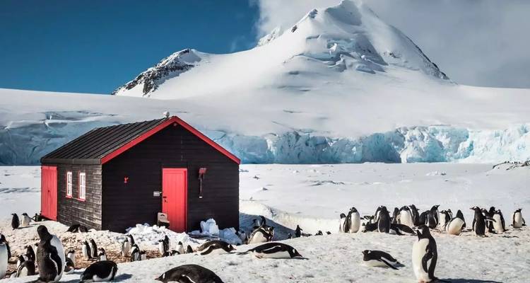 Sporty Basecamp in the Antarctic - Inventia 6