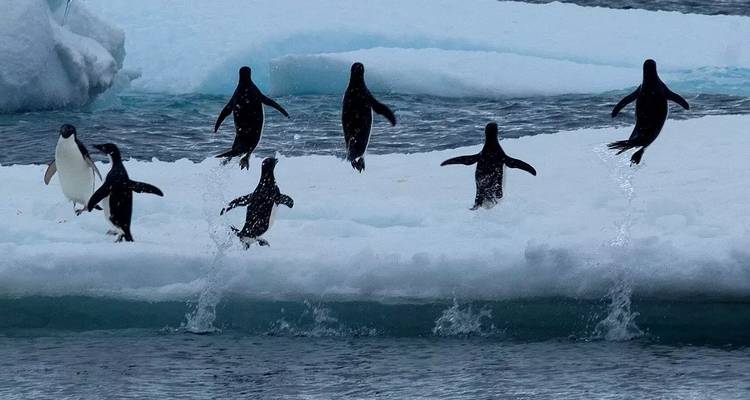 Sporty Basecamp in the Antarctic - Inventia 3
