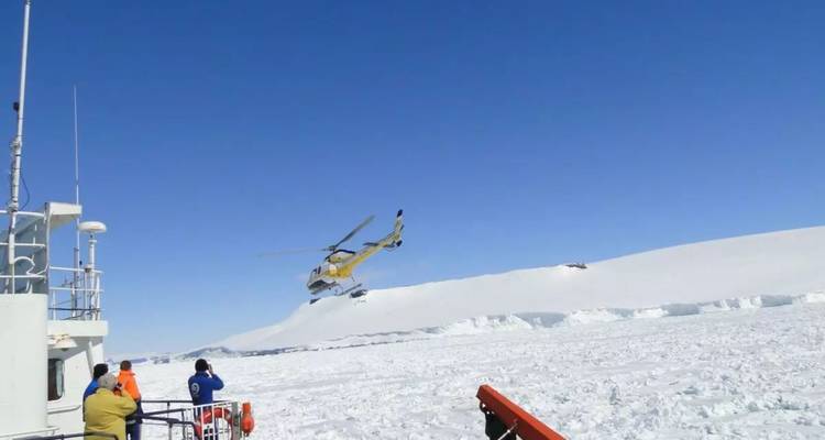 MANCHOTS IMPÉRIAUX SUR L'ÎLE DE SNOW HILL - MER DEWEDELL - Inventia 8