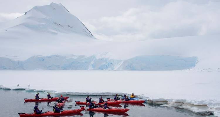 MANCHOTS IMPÉRIAUX SUR L'ÎLE DE SNOW HILL - MER DEWEDELL - Inventia 10