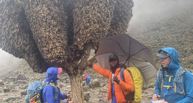 Kilimanjaro Climbing Machame Route 7 days - Spirit of Kilimanjaro 4