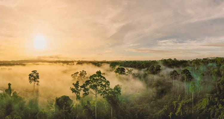 Aventura en Malasia: los secretos de la selva de Borneo - journaway 2