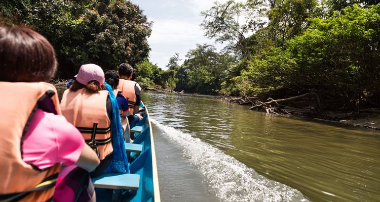 Aventura en Malasia: los secretos de la selva de Borneo - journaway 7