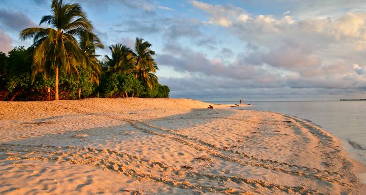 Een schilderachtig strand met palmbomen en mensen die langs de kust wandelen bij zonsondergang.