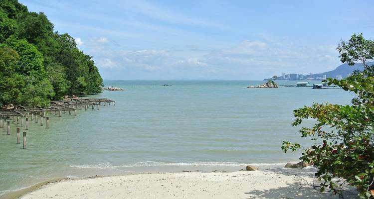 6 días en Penang, incluido el patrimonio de George Town, la colina y el templo de Penang, y mucho más - STM Tours LLC 4