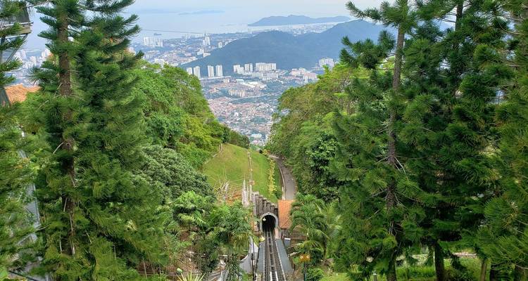 6 días en Penang, incluido el patrimonio de George Town, la colina y el templo de Penang, y mucho más - STM Tours LLC 6