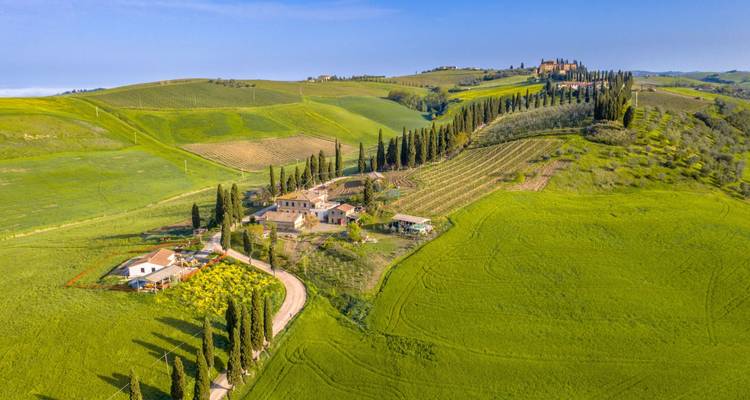 Paquete de 7 días con lo mejor de Italia - Florencia, Toscana y Cinque Terre - Tourist Journey 4