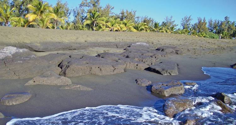 Zwart zandstrand met donkere vulkanische rotsblokken en een rij palmbomen onder een strakblauwe hemel, klein schuim van golfjes op de voorgrond.