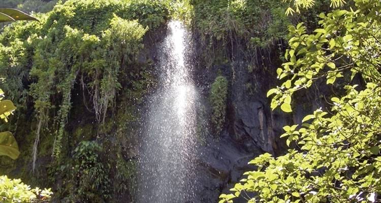 La Reunion - Around the volcano - DERTOUR 6