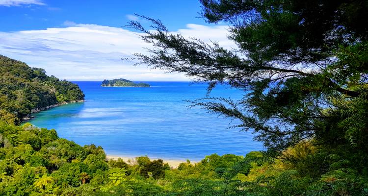 Vue panoramique d'une baie bleue entourée d'arbres verdoyants.