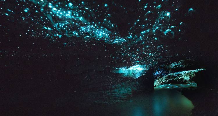 Vers luisants dans une grotte sombre.