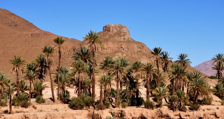 De Ouarzazate al desierto de Erg Chegaga 1 noche - SAHARA HOLIDAY 4