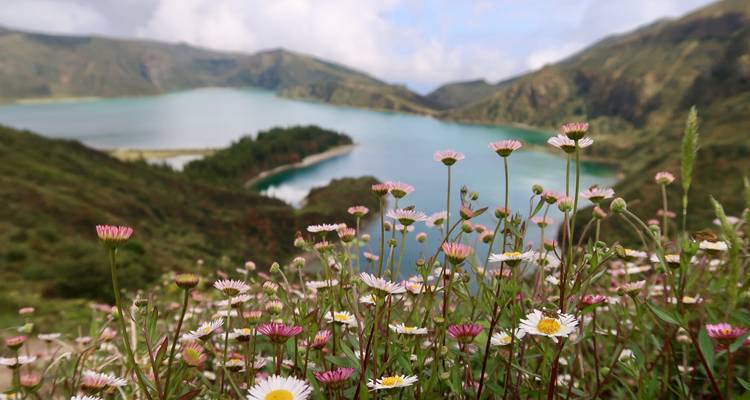 Les Açores, joyaux du Portugal (de Sao Miguel, Açores à Lisbonne) (2025) - Collette 3