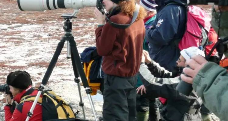 Des photographes animaliers avec des trépieds et de gros objectifs observent la nature sur une côte rocheuse.