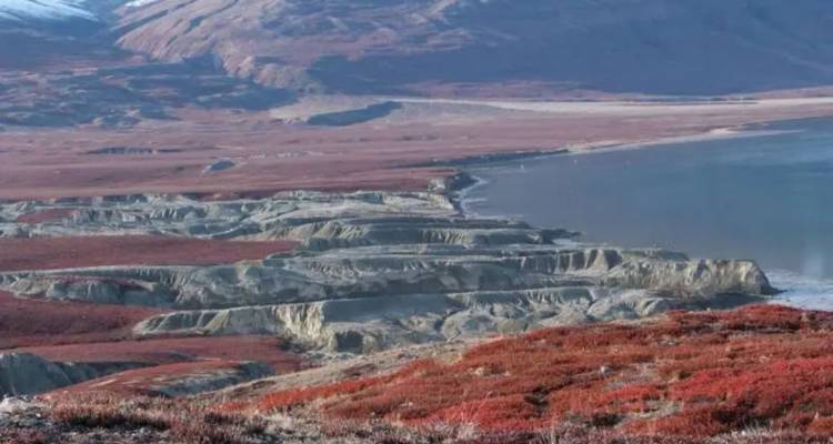 Vue aérienne de terrasses de toundra rouge menant à un fjord arctique calme bordé de montagnes.