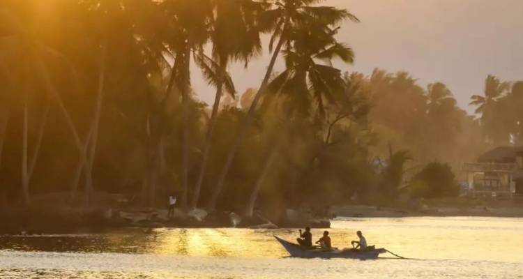 Des navigateurs en silhouette glissent sur un lagon doré au coucher du soleil sous des palmiers penchés.