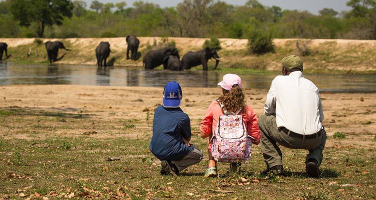 Safari por el Parque Nacional Kruger y el Hotel Panorama - Local Safaris 8