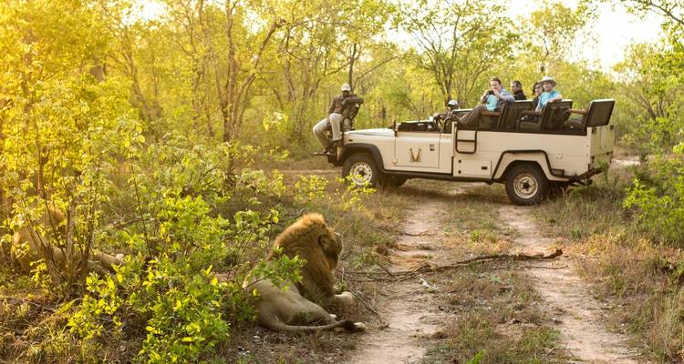Safari por el Parque Nacional Kruger y el Hotel Panorama - Local Safaris 10