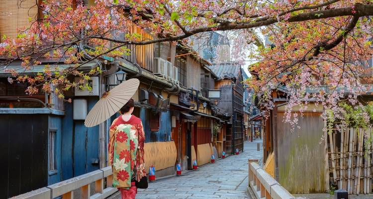 Circuit de 7 jours au Japon pour les petits budgets - Tourist Journey 8