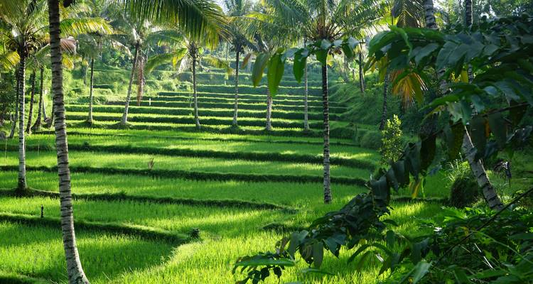 Bali, Gili y Lombok: Templos, comida callejera y aventura isleña - journaway 10