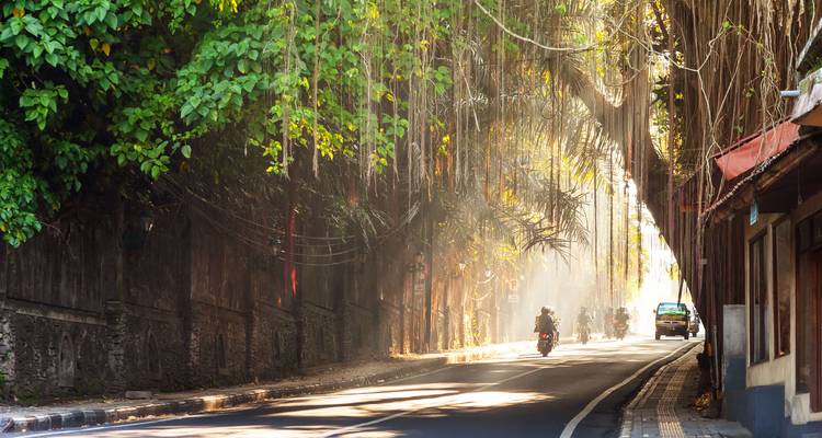 Une rue sereine avec des motos et la lumière du soleil filtrant à travers les arbres.