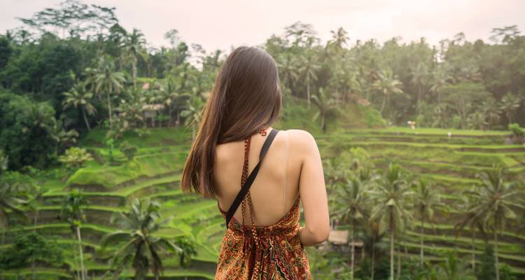 Une femme contemplant des rizières en terrasses entourées d'une végétation dense.