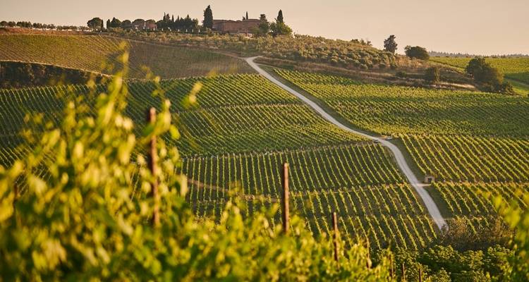 Toscana y Riviera italiana (Turín a Toscana) (2025) - Collette 1