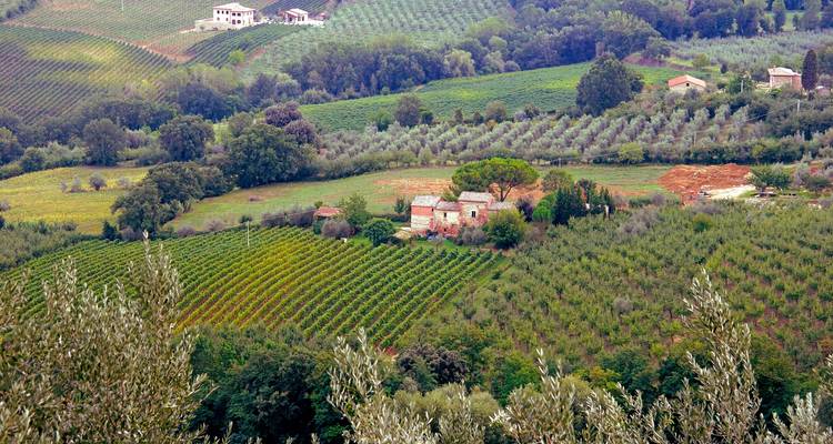 Toscana y Riviera italiana (Turín a Toscana) (2025) - Collette 4