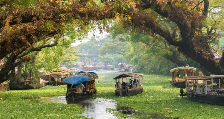 Bateaux dans une rivière avec une végétation luxuriante autour.
