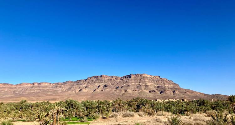 Eine Bergkette unter einem klaren blauen Himmel mit Palmen im Vordergrund.