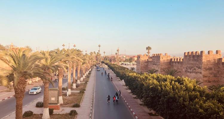 Eine Straßenszene mit Palmen entlang einer Straße und gehenden Menschen.