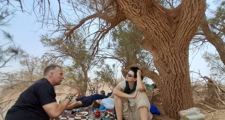 Los viajeros se relajan sobre una alfombra estampada bajo un árbol retorcido del desierto, compartiendo té y bocadillos con el equipo esparcido alrededor.