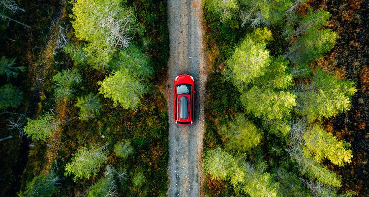 Luftaufnahme eines roten Autos auf einer Waldstraße.
