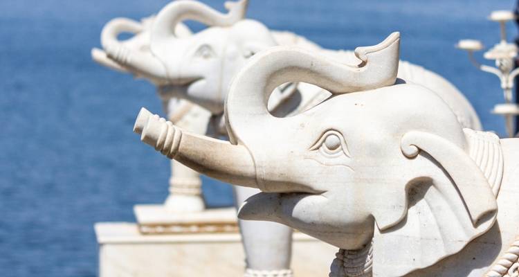 White marble elephant statues lined up with water in the background.