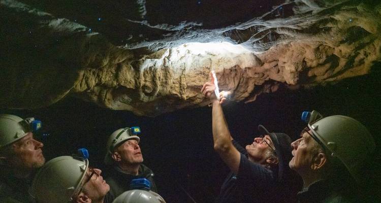 Visitantes con cascos examinan formaciones de piedra caliza dentro de una cueva de Waitomo poco iluminada mientras un guía señala con una linterna.