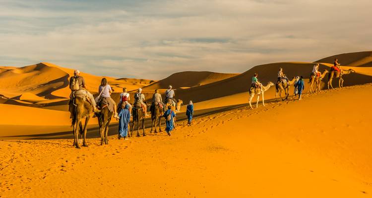 Kamelkarawane überquert goldene Sanddünen in der Wüste.