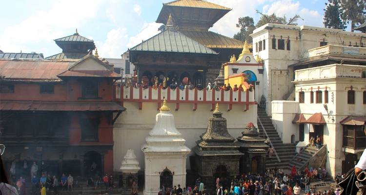 Paquete Lo Mejor de Nepal - 12 Días - Frolic Adventure Pvt. Ltd. 10
