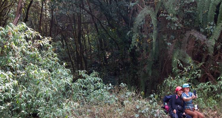 Chisapani Nagarkot Senderismo Corto Cerca de Katmandú - 3 Días - Frolic Adventure Pvt. Ltd. 6