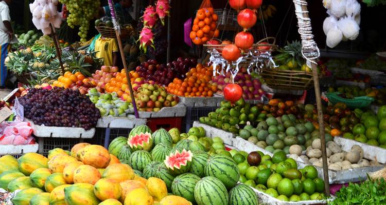 Sri Lanka Intense : Vivre local & Nature Highs - journaway DACH 4