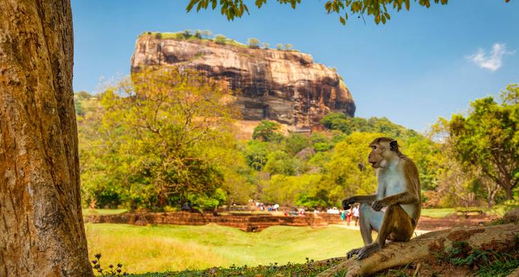 Sri Lanka Intense : Vivre local & Nature Highs - journaway DACH 7