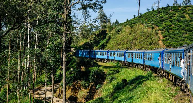 Sri Lanka Intense : Vivre local & Nature Highs - journaway DACH 1