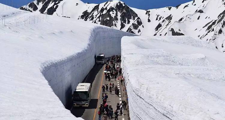 【Japan】Classic 12-Day Tour Package of Kanto-Tateyama Kurobe,Gassho Village, Mount Fuji, and Nagoya (Seasonal) - Delightful Travel 1