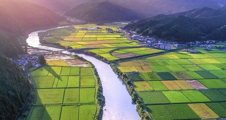 【Japan】Classic 12-Day Tour Package of Kanto-Tateyama Kurobe,Gassho Village, Mount Fuji, and Nagoya (Seasonal) - Delightful Travel 6