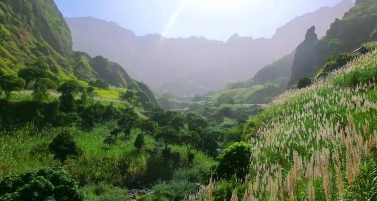 Vallée fertile ensoleillée avec de hautes herbes et des montagnes étagées s'estompant dans la brume.