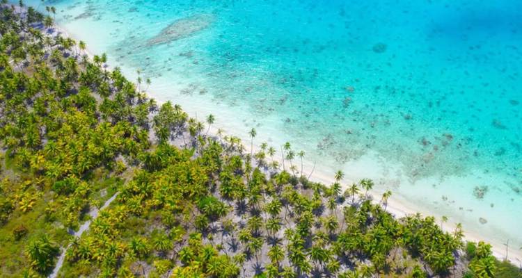 Drohnenaufnahme eines unberührten Atolls mit dichten Palmen, die auf kristallklare türkisfarbene Lagunenuntiefen treffen.