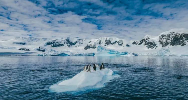 Groupe de manchots debout sur un petit iceberg au milieu de magnifiques montagnes antarctiques et d'un ciel bleu.