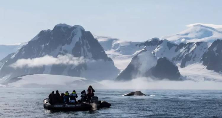 Tourists in a Zodiac watch a whale spout against towering snow-clad mountains.