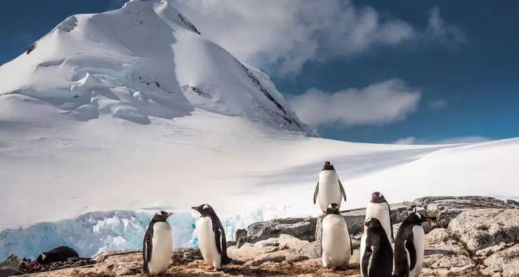 PENÍNSULA ANTÁRTICA Y MÁS ALLÁ DEL CÍRCULO POLAR - DESCUBRIENDO EL SUR PROFUNDO - Inventia 1