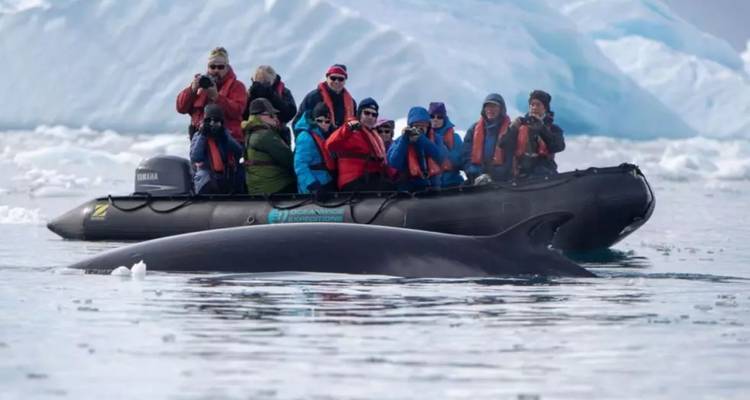 PENÍNSULA ANTÁRTICA Y MÁS ALLÁ DEL CÍRCULO POLAR - DESCUBRIENDO EL SUR PROFUNDO - Inventia 2
